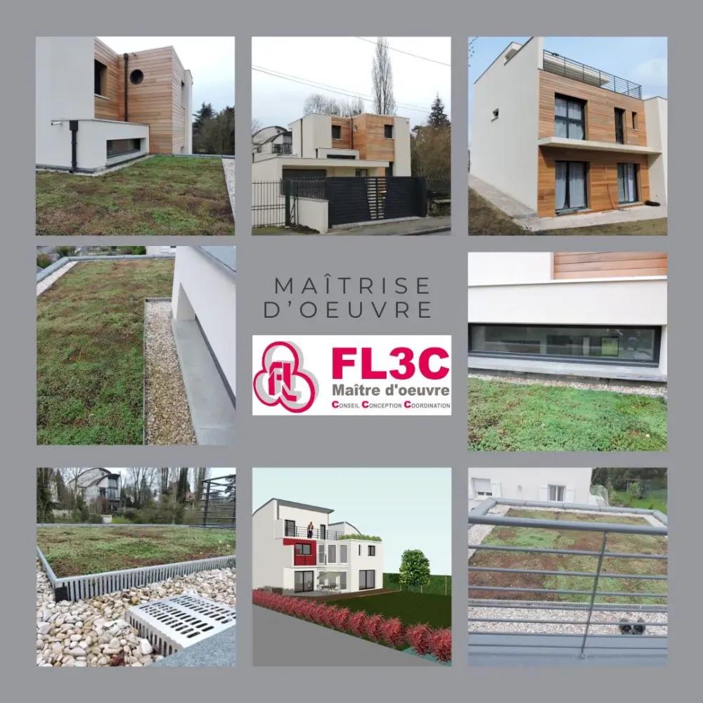 Photo illustration toit végétalisé